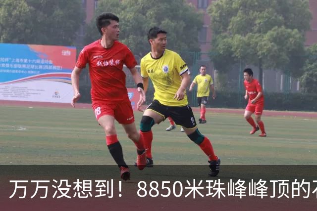 万万没想到！8850米珠峰峰顶的石头，竟来自4亿年前的海底！